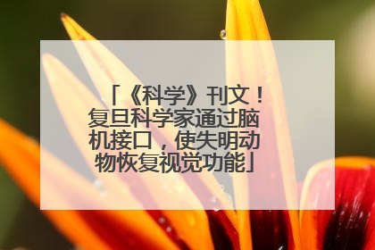 《科学》刊文！复旦科学家通过脑机接口，使失明动物恢复视觉功能