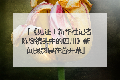 《见证！新华社记者陈燮镜头中的四川》新闻摄影展在蓉开幕