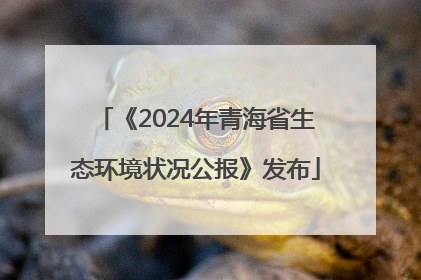 《2024年青海省生态环境状况公报》发布