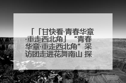 「甘快看·青春华章·重走西北角」“青春华章·重走西北角”采访团走进花舞南山 探寻天水乡村振兴之路