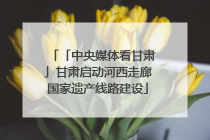 「中央媒体看甘肃」甘肃启动河西走廊国家遗产线路建设