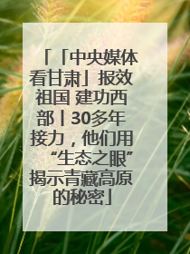 「中央媒体看甘肃」报效祖国 建功西部丨30多年接力，他们用“生态之眼”揭示青藏高原的秘密