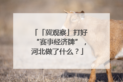 「冀观察」打好“赛事经济牌”，河北做了什么？