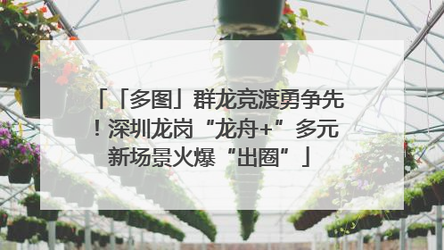 「多图」群龙竞渡勇争先！深圳龙岗“龙舟+”多元新场景火爆“出圈”