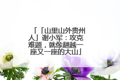 「山里山外贵州人」谢小军：攻克难题，就像翻越一座又一座的大山