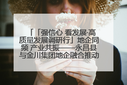 「强信心 看发展·高质量发展调研行」地企同频 产业共振——永昌县与金川集团地企融合推动重大项目建设