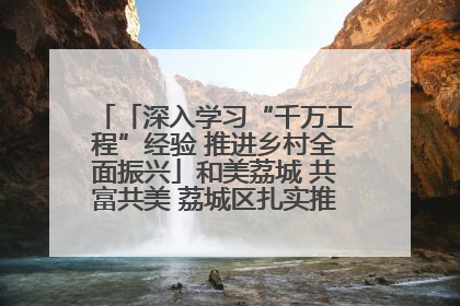 「深入学习“千万工程”经验 推进乡村全面振兴」和美荔城 共富共美 荔城区扎实推进乡村振兴工作