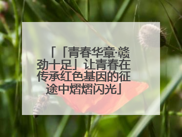「青春华章·赣劲十足」让青春在传承红色基因的征途中熠熠闪光