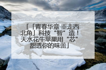 「青春华章·重走西北角」科技“智”造！天水花牛苹果用“芯”甜透你的味蕾