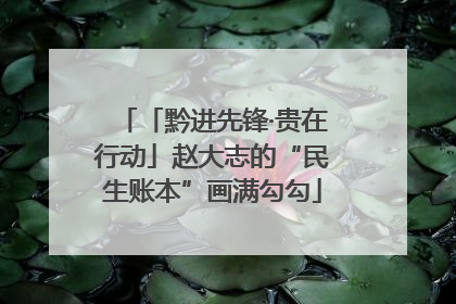 「黔进先锋·贵在行动」赵大志的“民生账本”画满勾勾