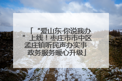 “爱山东·你说我办”上线！枣庄市市中区孟庄镇听民声办实事 政务服务暖心升级
