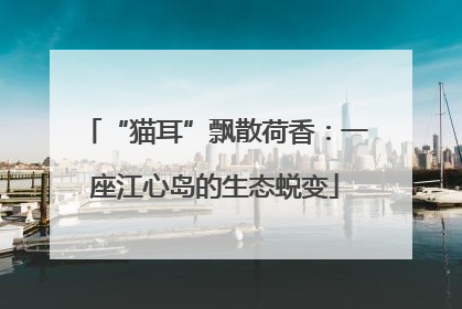 “猫耳”飘散荷香：一座江心岛的生态蜕变