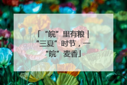 “皖”里有粮｜“三夏”时节，一“皖”麦香