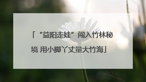“益阳走娃”闯入竹林秘境 用小脚丫丈量大竹海