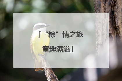“粽”情之旅 童趣满溢