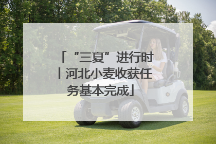 “三夏”进行时丨河北小麦收获任务基本完成