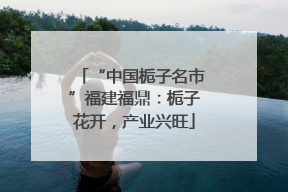 “中国栀子名市”福建福鼎：栀子花开，产业兴旺
