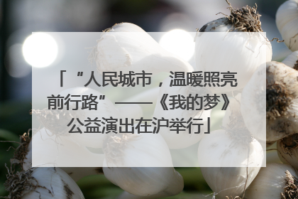 “人民城市，温暖照亮前行路”——《我的梦》公益演出在沪举行