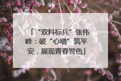 “双料标兵”张伟峰：破“心墙”筑平安，展现青春警色