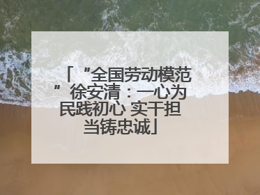 “全国劳动模范”徐安清：一心为民践初心 实干担当铸忠诚