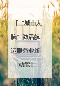 “城市大脑”激活航运服务业新动能