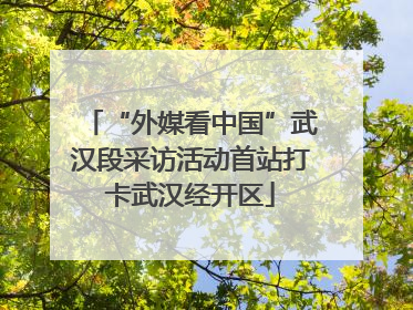 “外媒看中国”武汉段采访活动首站打卡武汉经开区