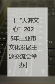 “天涯文心”2025年三亚市文化发展主题交流会举办