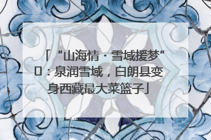 “山海情・雪域援梦”⑪：泉润雪域，白朗县变身西藏最大菜篮子