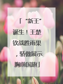 “新王”诞生！王楚钦战胜雨果，骄傲展示胸前国旗