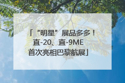 “明星”展品多多！直-20、直-9ME首次亮相巴黎航展