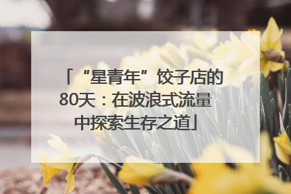 “星青年”饺子店的80天：在波浪式流量中探索生存之道
