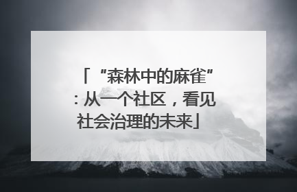 “森林中的麻雀”：从一个社区，看见社会治理的未来