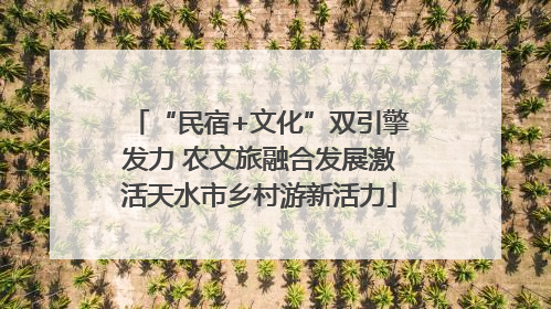 “民宿+文化”双引擎发力 农文旅融合发展激活天水市乡村游新活力