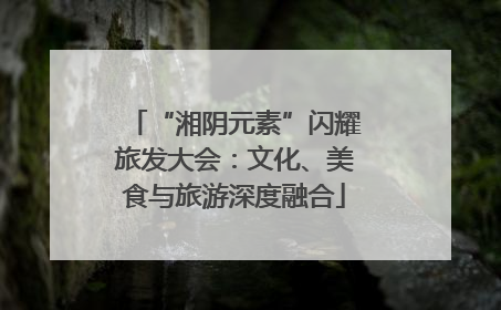 “湘阴元素”闪耀旅发大会：文化、美食与旅游深度融合