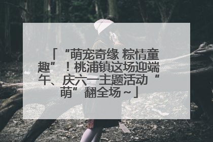 “萌宠奇缘 粽情童趣”！桃浦镇这场迎端午、庆六一主题活动“萌”翻全场～