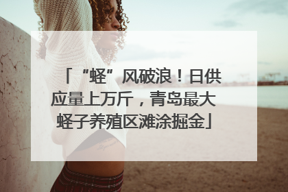 “蛏”风破浪！日供应量上万斤，青岛最大蛏子养殖区滩涂掘金