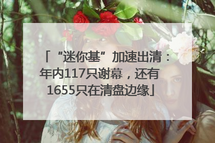 “迷你基”加速出清：年内117只谢幕，还有1655只在清盘边缘