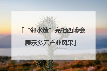“邻水造”亮相西博会 展示多元产业风采