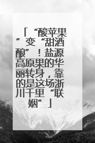 “酸苹果”变“甜酒酿”！盐源高原果的华丽转身，靠的是这场浙川千里“联姻”