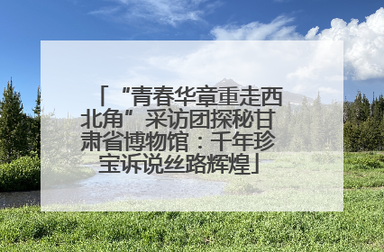 “青春华章重走西北角”采访团探秘甘肃省博物馆：千年珍宝诉说丝路辉煌