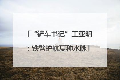 “铲车书记”王亚明：铁臂护航夏种水脉