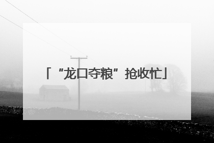 “龙口夺粮”抢收忙