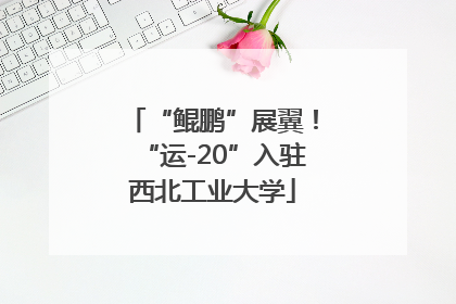 “鲲鹏”展翼！“运-20”入驻西北工业大学