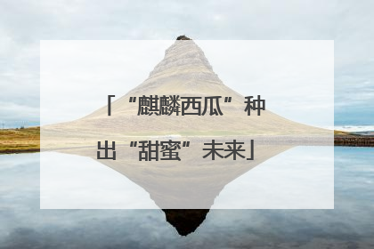 “麒麟西瓜”种出“甜蜜”未来