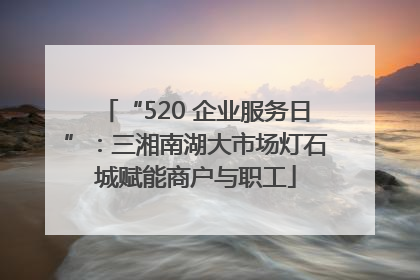 “520 企业服务日”：三湘南湖大市场灯石城赋能商户与职工