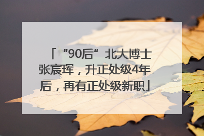 “90后”北大博士张宸珲，升正处级4年后，再有正处级新职