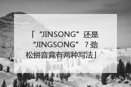 “JINSONG”还是“JINGSONG”？劲松拼音竟有两种写法