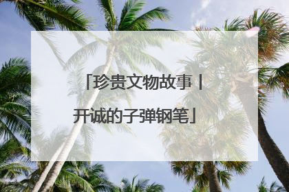 珍贵文物故事丨开诚的子弹钢笔