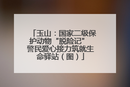 玉山：国家二级保护动物“脱险记” 警民爱心接力筑就生命驿站（图）