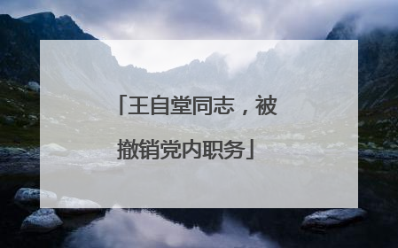 王自堂同志，被撤销党内职务